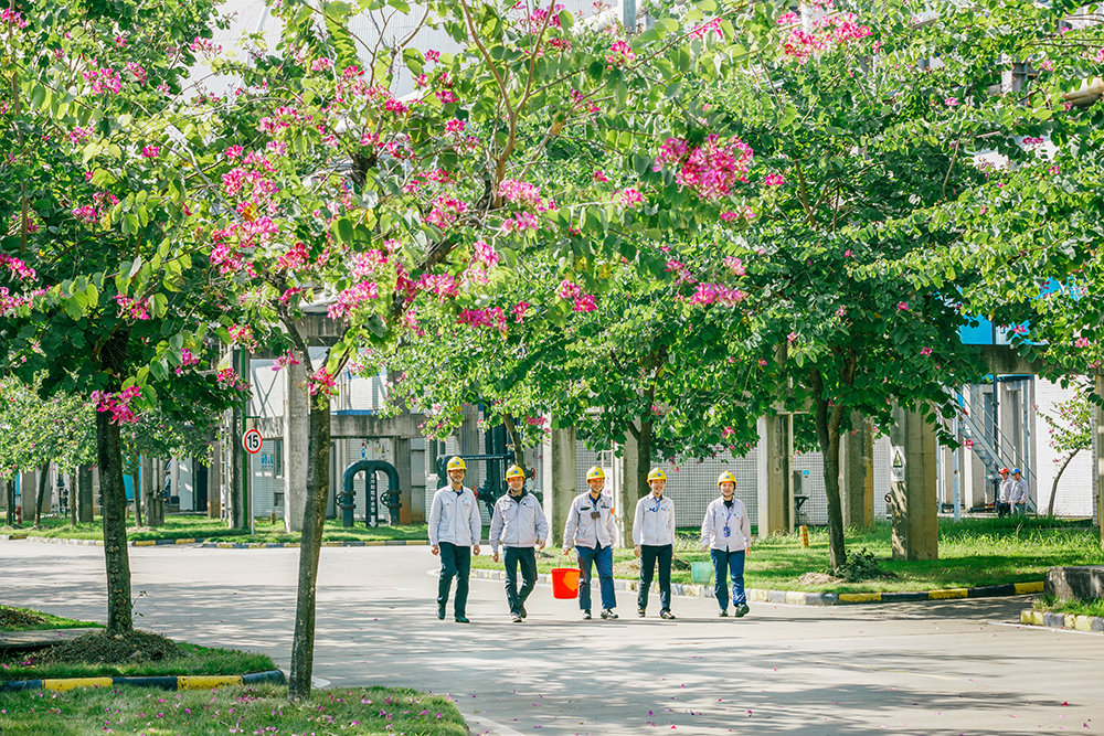 EMC易倍·(中国)官方网站