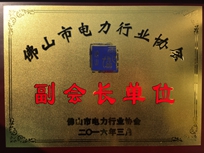 EMC易倍集团荣获佛山市电力行业协会“副会长单位”